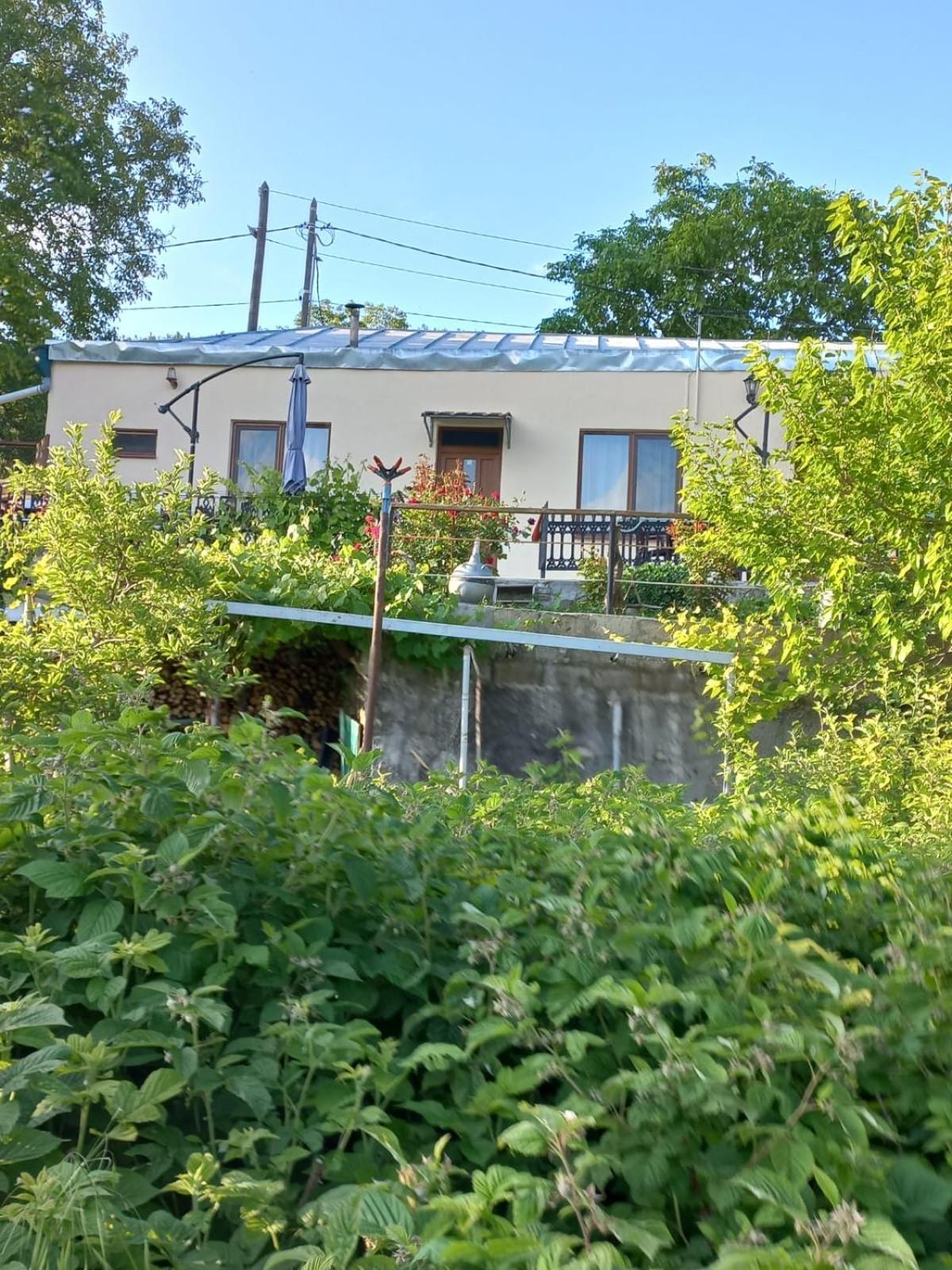 تاتيف Ana-Maria Bnb المظهر الخارجي الصورة